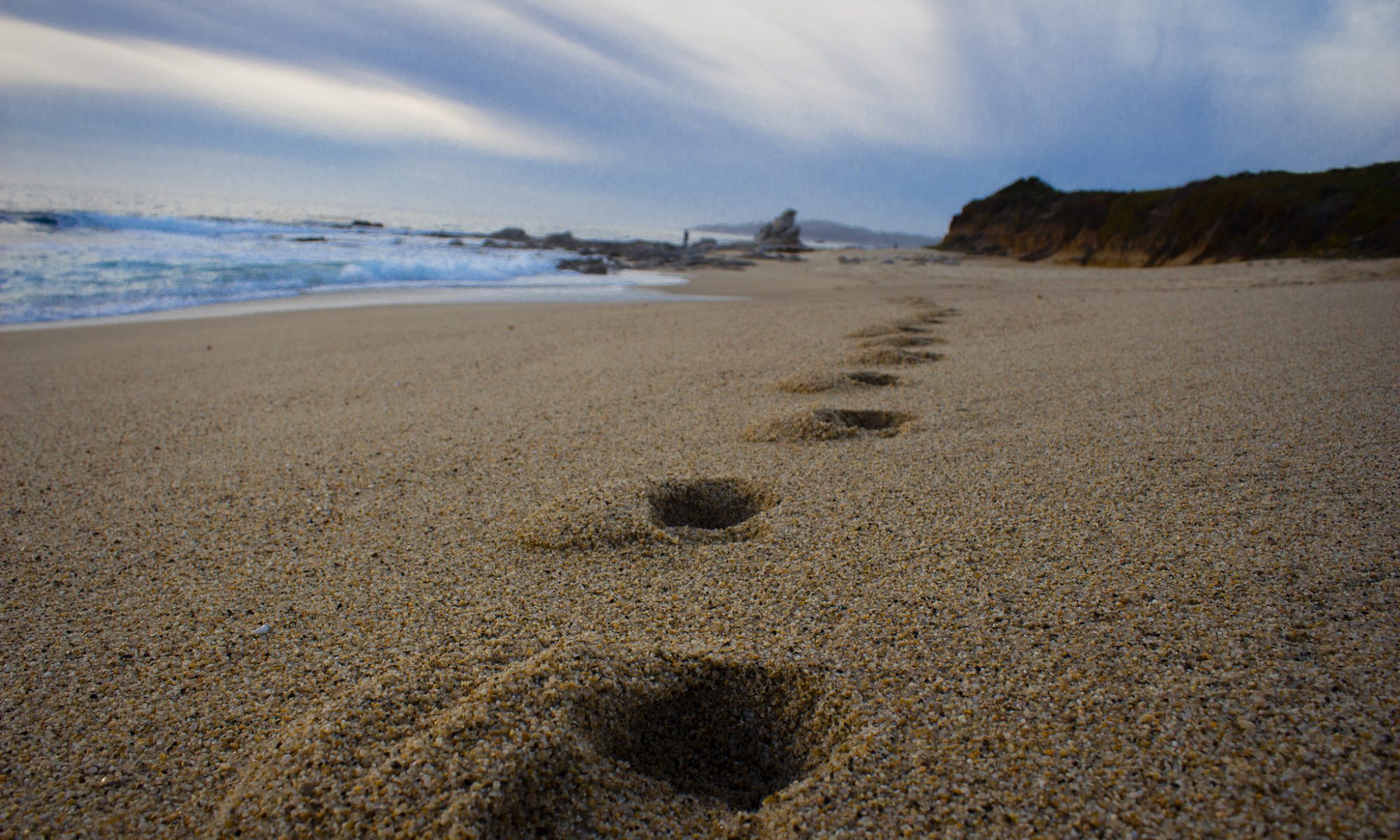 Footsteps in sand. Flikr / Travis Thompson